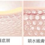 寶膚婗緊實修護精華乳