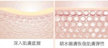 寶膚婗緊實修護精華乳