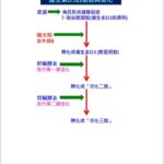 維生素D3