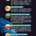 前線秘鋅～馬卡