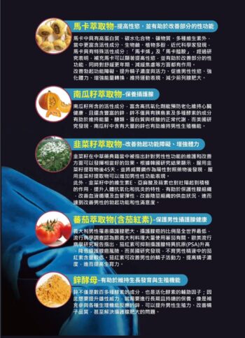 前線秘鋅～馬卡