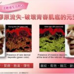馭望之鑰～胎盤膠原蛋白粉