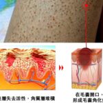 寶膚婗緊實修護精華乳